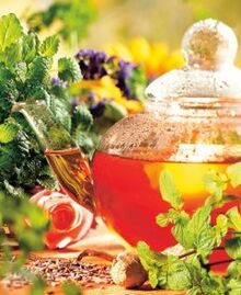 Décoctions pour augmenter le pouvoir