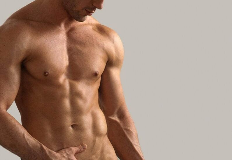 Torse masculin