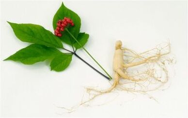 Stimulants de pouvoir naturel chez les hommes