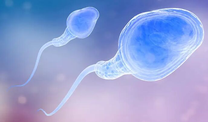 Le sperme peut être présent dans le pré-éjaculat d'un homme